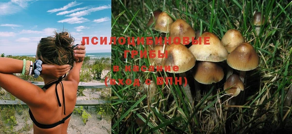 spice Всеволожск