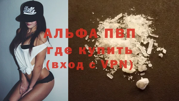 индика Россошь