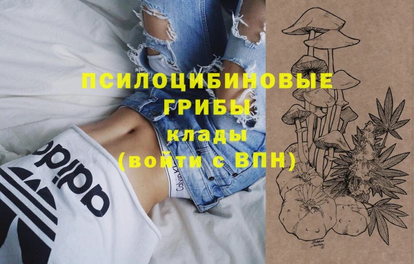индика Россошь
