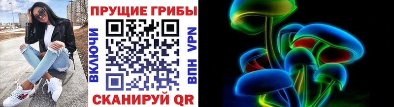 Купить где  Заволжск  Галлюциногенные грибы Psilocybine cubensis 